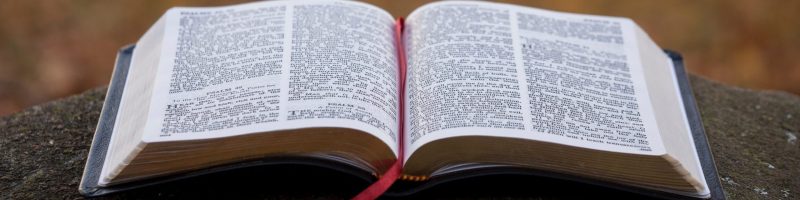 bible